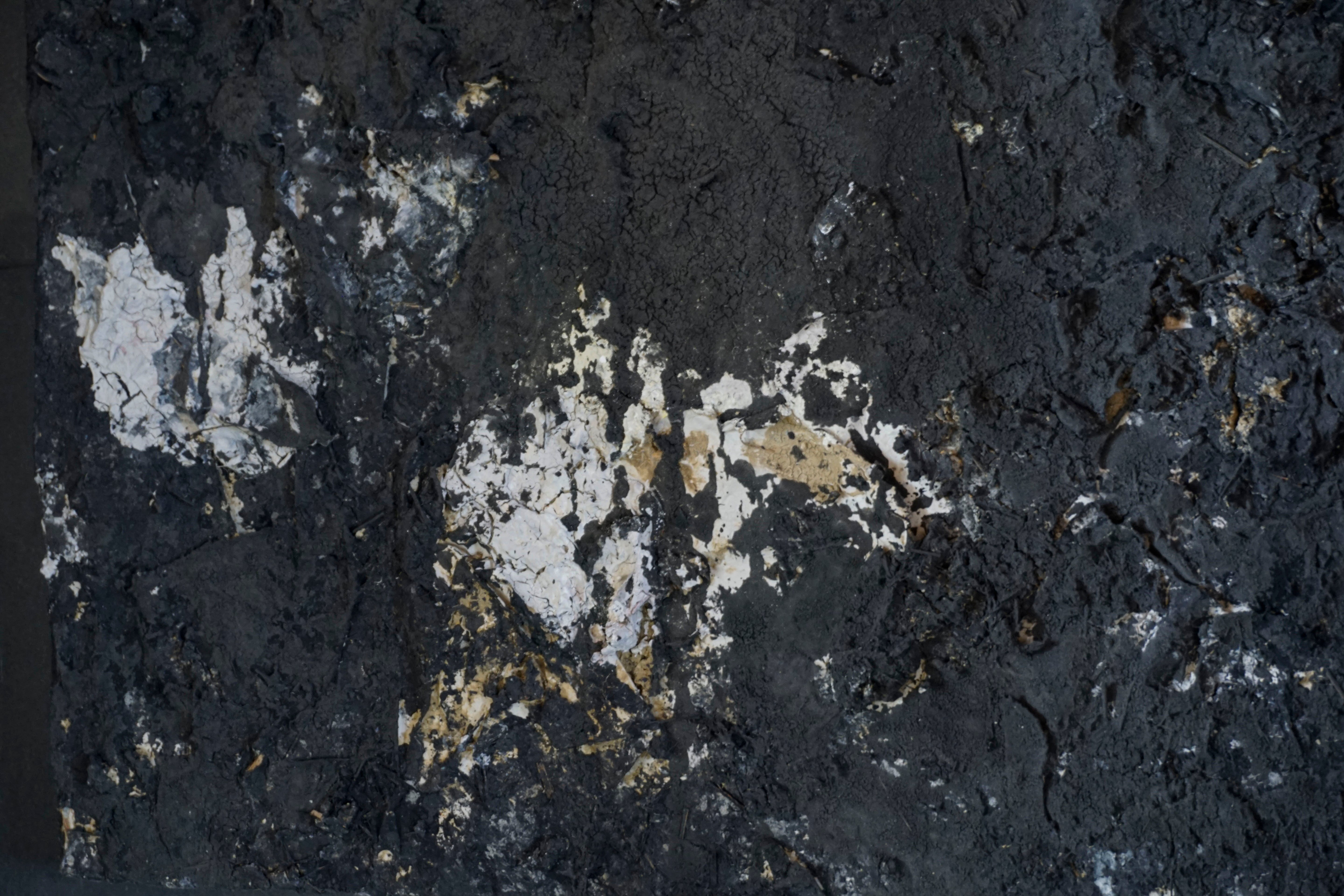 Wataru Hatano "The accumulation of time" Size 50 (TC-35)