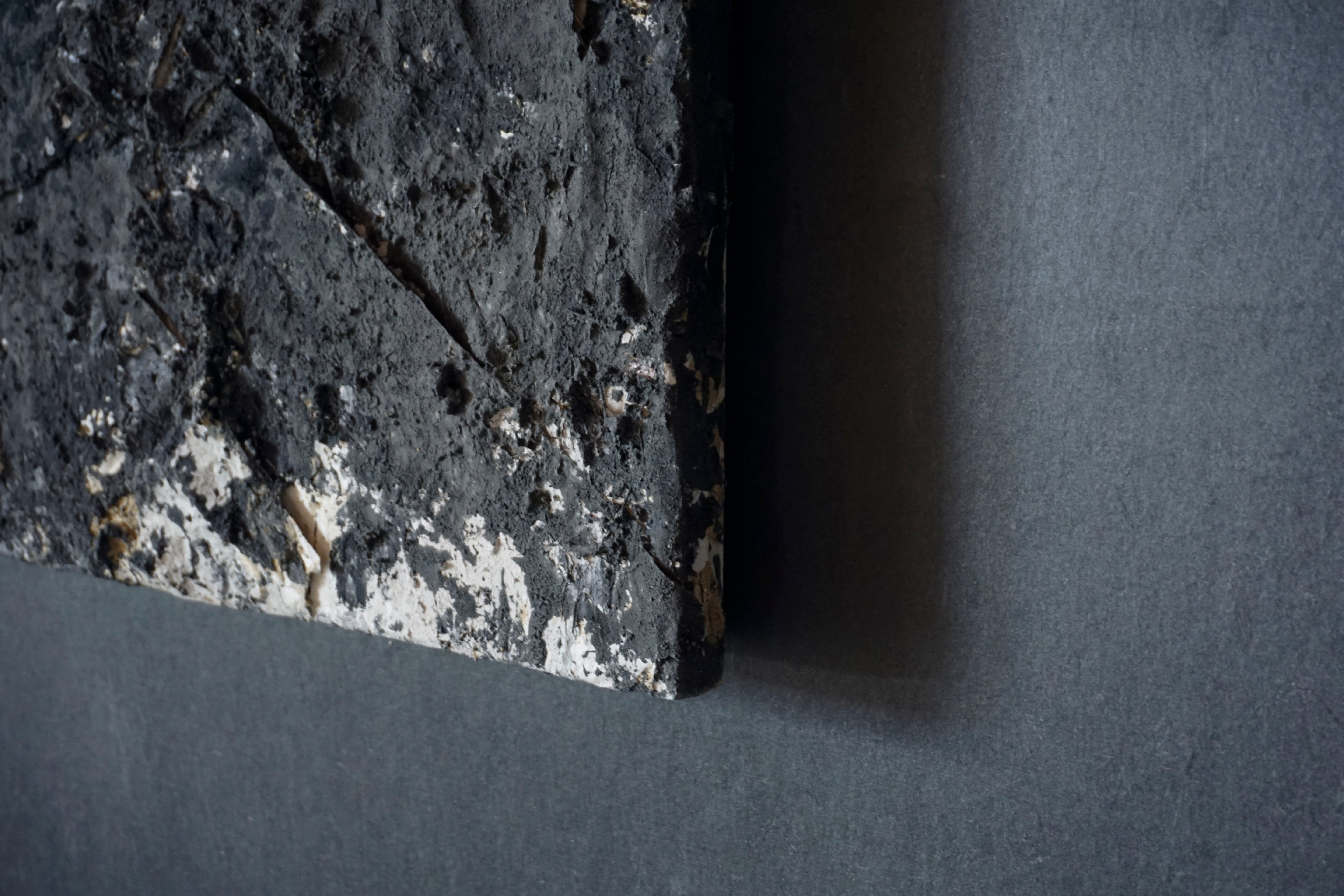 Wataru Hatano "The accumulation of time" Size 50 (TC-35)