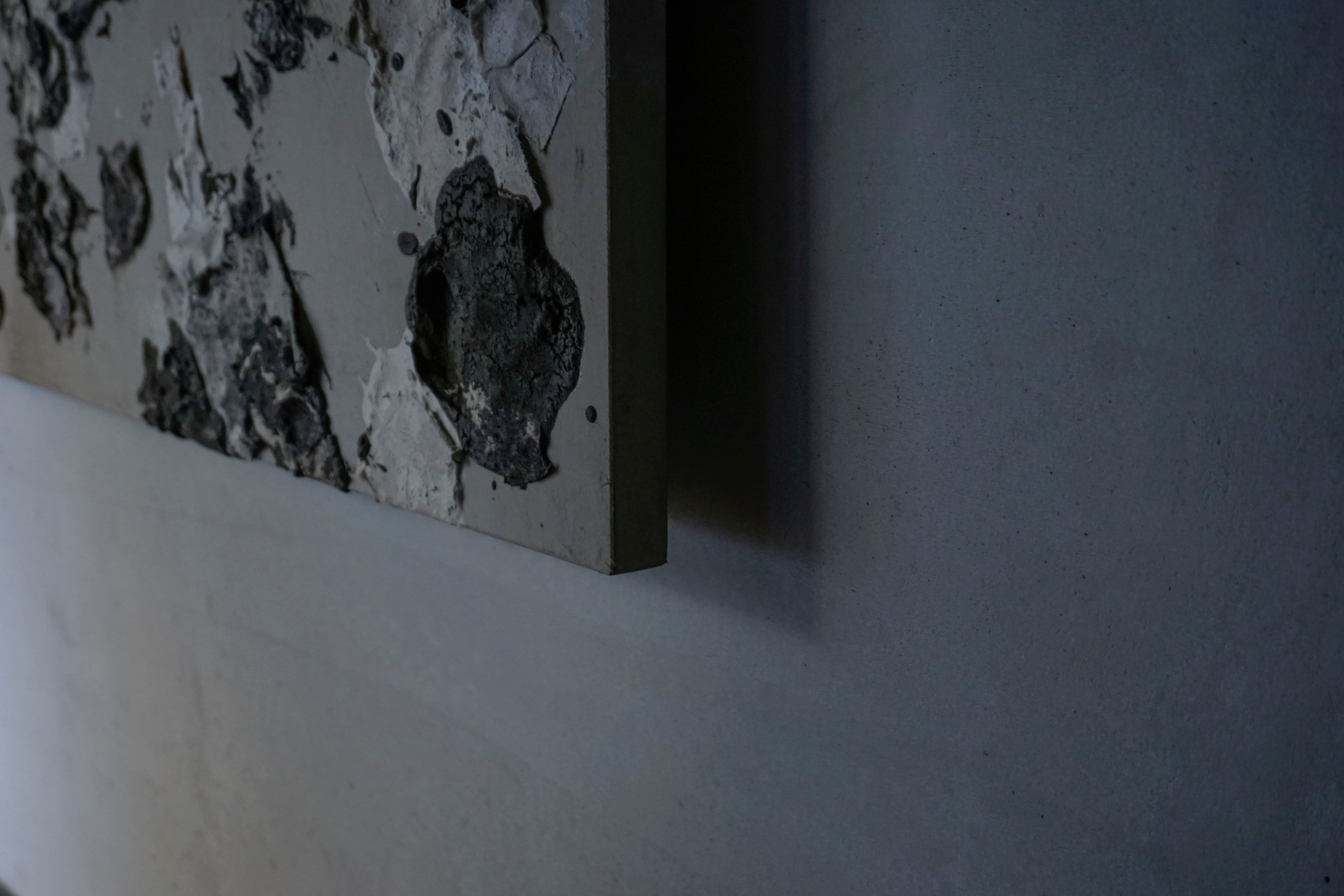 Wataru Hatano "The accumulation of time" Size 100 (43375548)