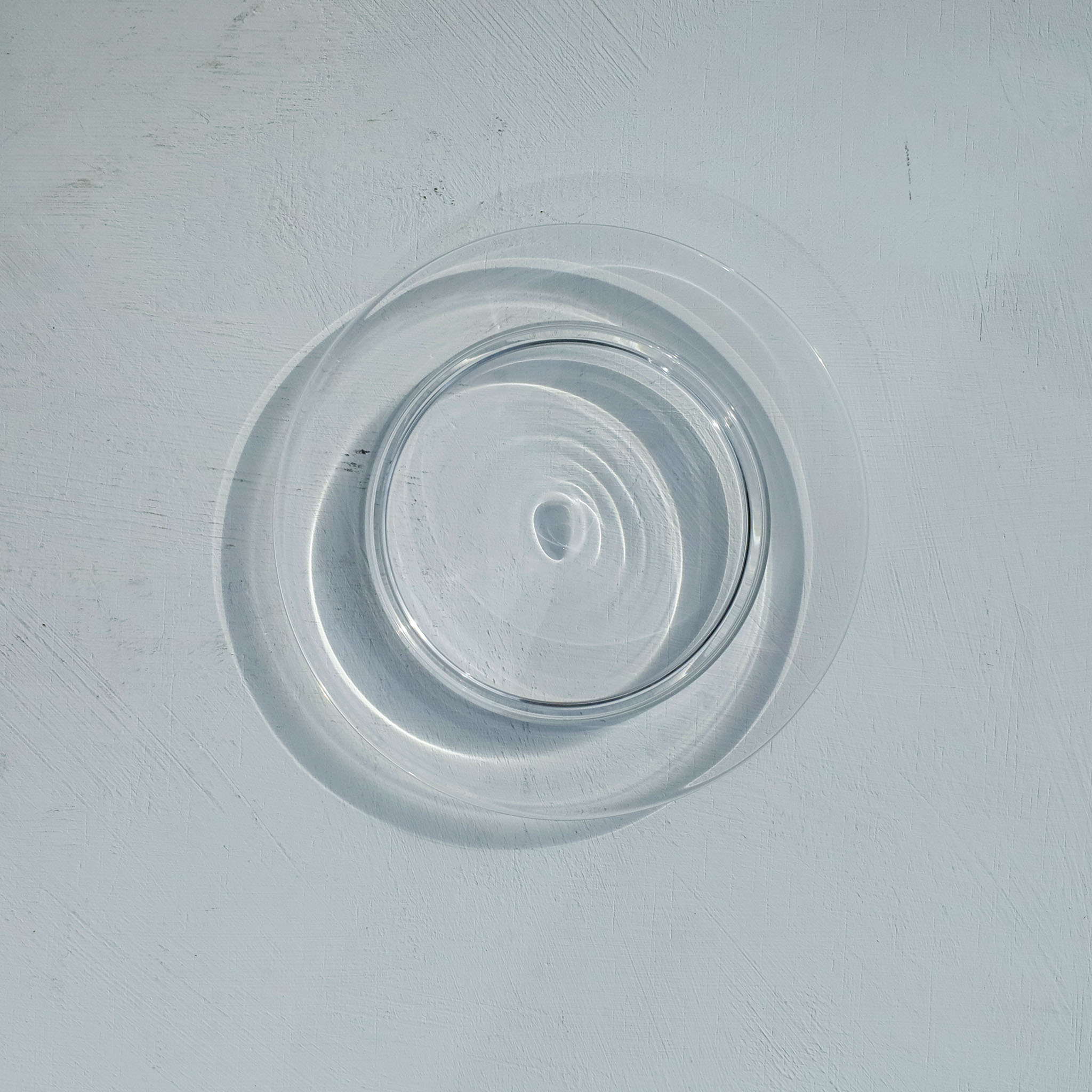 ●26-TE-53 Kodai Rim Plate (Footed Rim Plate) S CLEAR